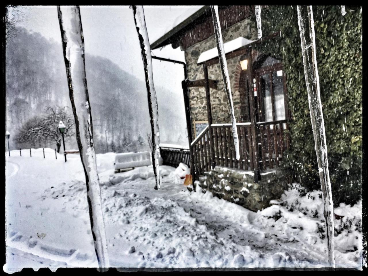B&B Vinicola23 Limone Piemonte Εξωτερικό φωτογραφία