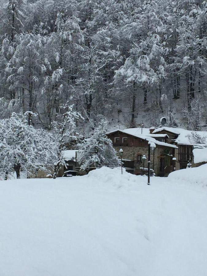 B&B Vinicola23 Limone Piemonte Δωμάτιο φωτογραφία